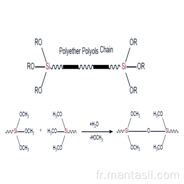 Silane terminé les polyéther ms